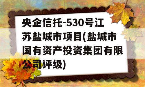 央企信托-530号江苏盐城市项目(盐城市国有资产投资集团有限公司评级)