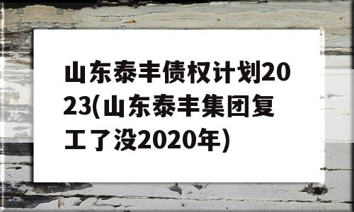 山东泰丰债权计划2023(山东泰丰集团复工了没2020年)