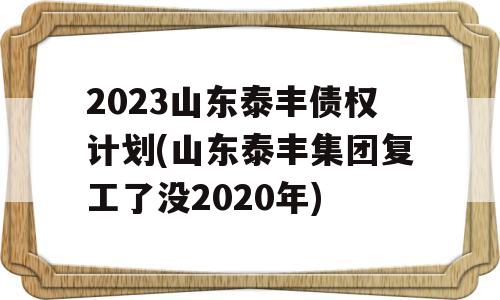 2023山东泰丰债权计划(山东泰丰集团复工了没2020年)