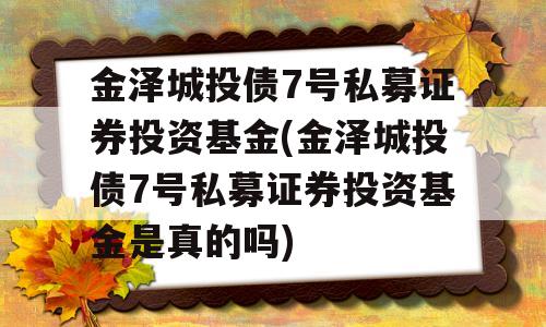 金泽城投债7号私募证券投资基金(金泽城投债7号私募证券投资基金是真的吗)