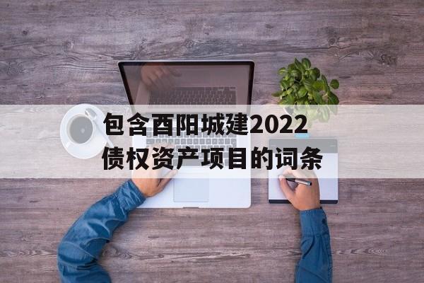 包含酉阳城建2022债权资产项目的词条