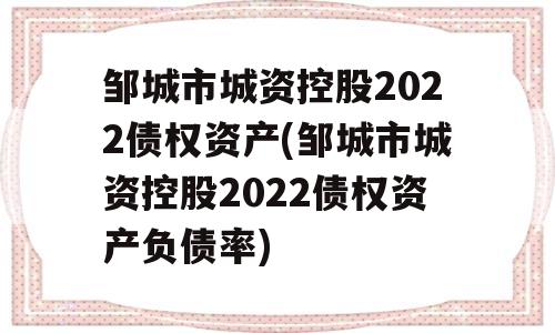 邹城市城资控股2022债权资产(邹城市城资控股2022债权资产负债率)