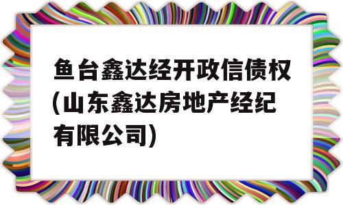 鱼台鑫达经开政信债权(山东鑫达房地产经纪有限公司)