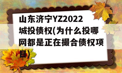 山东济宁YZ2022城投债权(为什么投哪网都是正在撮合债权项目)