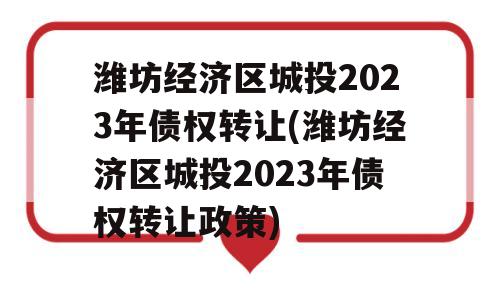 潍坊经济区城投2023年债权转让(潍坊经济区城投2023年债权转让政策)