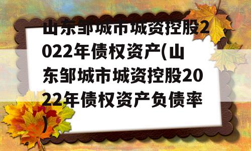 山东邹城市城资控股2022年债权资产(山东邹城市城资控股2022年债权资产负债率)