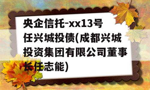 央企信托-xx13号任兴城投债(成都兴城投资集团有限公司董事长任志能)