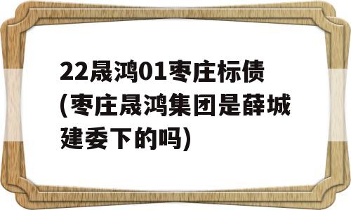 22晟鸿01枣庄标债(枣庄晟鸿集团是薛城建委下的吗)