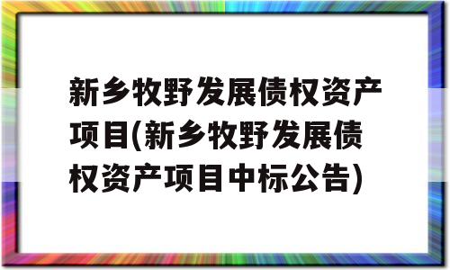 新乡牧野发展债权资产项目(新乡牧野发展债权资产项目中标公告)