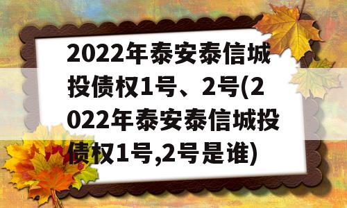 2022年泰安泰信城投债权1号、2号(2022年泰安泰信城投债权1号,2号是谁)