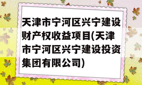 天津市宁河区兴宁建设财产权收益项目(天津市宁河区兴宁建设投资集团有限公司)