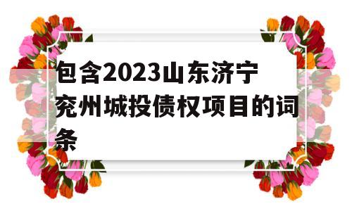 包含2023山东济宁兖州城投债权项目的词条