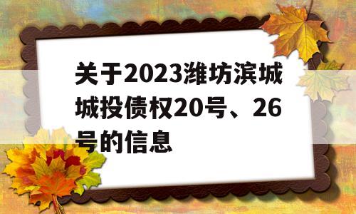 关于2023潍坊滨城城投债权20号、26号的信息