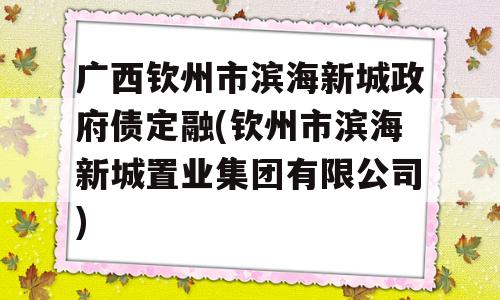 广西钦州市滨海新城政府债定融(钦州市滨海新城置业集团有限公司)