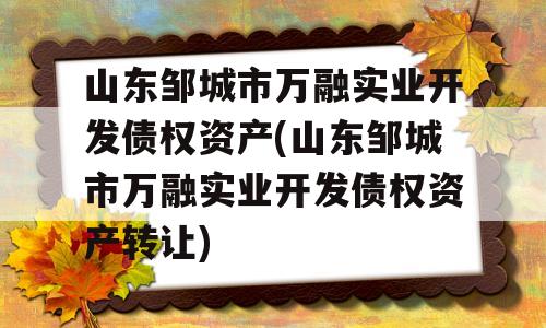 山东邹城市万融实业开发债权资产(山东邹城市万融实业开发债权资产转让)