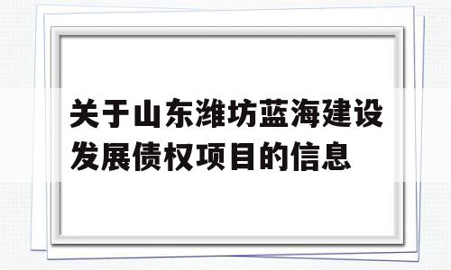 关于山东潍坊蓝海建设发展债权项目的信息