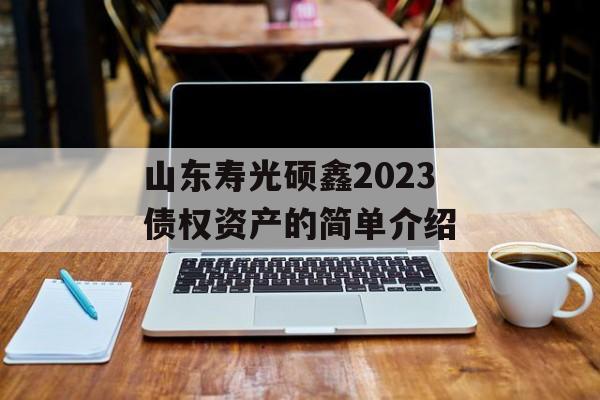 山东寿光硕鑫2023债权资产的简单介绍