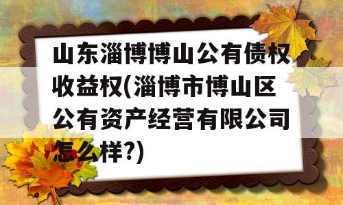 山东淄博博山公有债权收益权(淄博市博山区公有资产经营有限公司怎么样?)