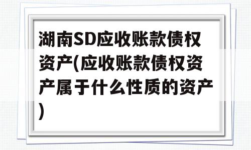 湖南SD应收账款债权资产(应收账款债权资产属于什么性质的资产)