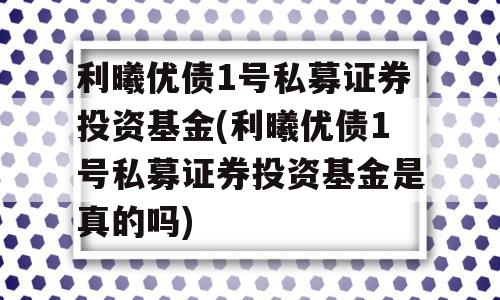 利曦优债1号私募证券投资基金(利曦优债1号私募证券投资基金是真的吗)