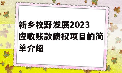 新乡牧野发展2023应收账款债权项目的简单介绍