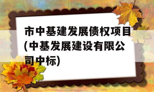 市中基建发展债权项目(中基发展建设有限公司中标)
