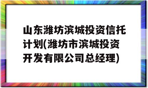 山东潍坊滨城投资信托计划(潍坊市滨城投资开发有限公司总经理)