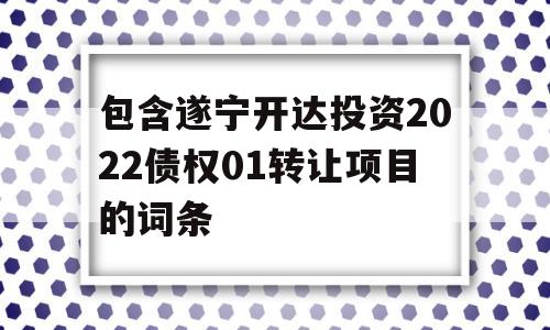 包含遂宁开达投资2022债权01转让项目的词条