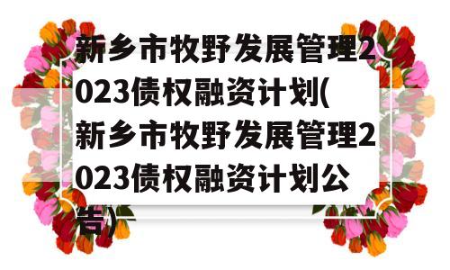 新乡市牧野发展管理2023债权融资计划(新乡市牧野发展管理2023债权融资计划公告)