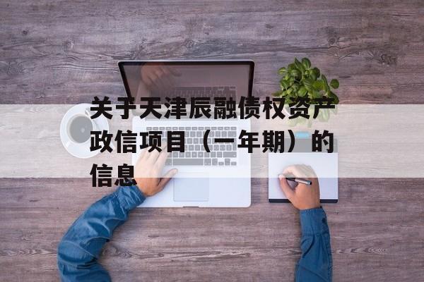 关于天津辰融债权资产政信项目（一年期）的信息