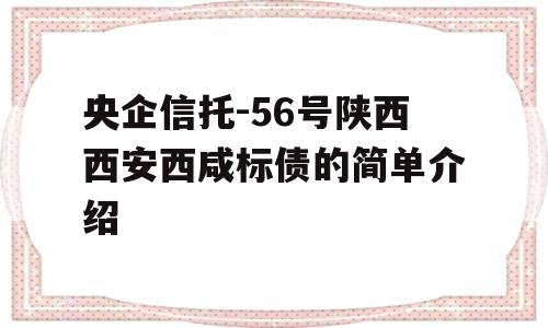 央企信托-56号陕西西安西咸标债的简单介绍