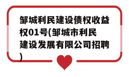 邹城利民建设债权收益权01号(邹城市利民建设发展有限公司招聘)