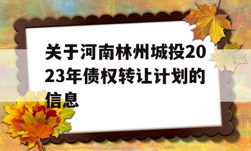 关于河南林州城投2023年债权转让计划的信息