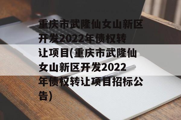 重庆市武隆仙女山新区开发2022年债权转让项目(重庆市武隆仙女山新区开发2022年债权转让项目招标公告)