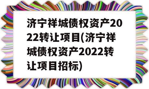 济宁祥城债权资产2022转让项目(济宁祥城债权资产2022转让项目招标)