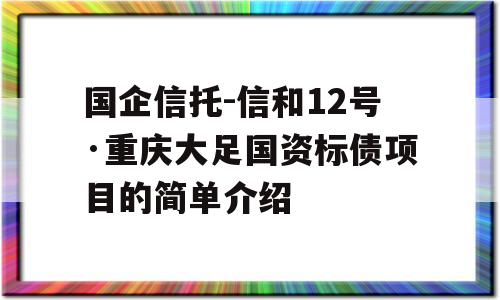 国企信托-信和12号·重庆大足国资标债项目的简单介绍