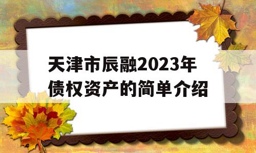 天津市辰融2023年债权资产的简单介绍