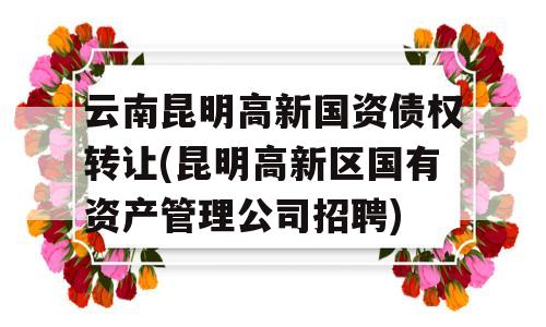 云南昆明高新国资债权转让(昆明高新区国有资产管理公司招聘)