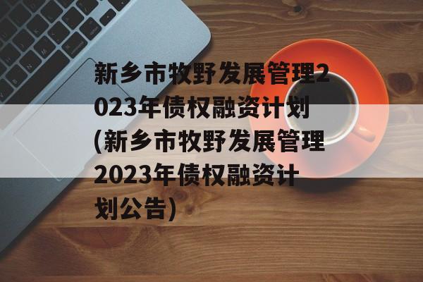 新乡市牧野发展管理2023年债权融资计划(新乡市牧野发展管理2023年债权融资计划公告)