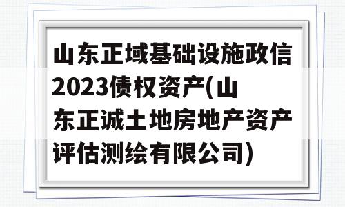 山东正域基础设施政信2023债权资产(山东正诚土地房地产资产评估测绘有限公司)