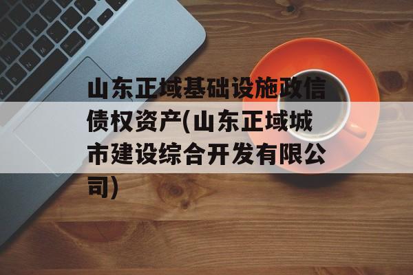 山东正域基础设施政信债权资产(山东正域城市建设综合开发有限公司)