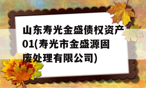 山东寿光金盛债权资产01(寿光市金盛源固废处理有限公司)