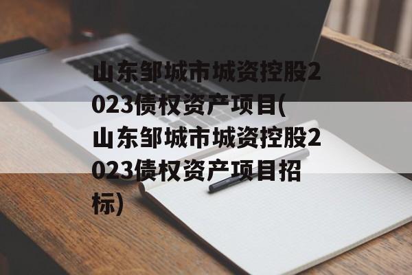 山东邹城市城资控股2023债权资产项目(山东邹城市城资控股2023债权资产项目招标)