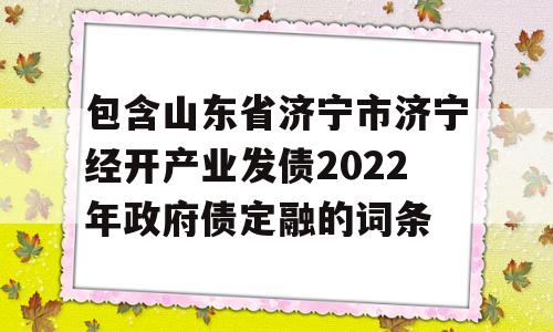 包含山东省济宁市济宁经开产业发债2022年政府债定融的词条