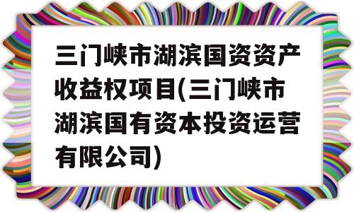 三门峡市湖滨国资资产收益权项目(三门峡市湖滨国有资本投资运营有限公司)