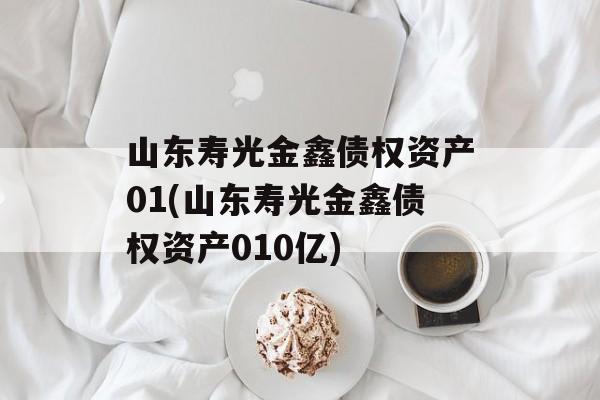 山东寿光金鑫债权资产01(山东寿光金鑫债权资产010亿)