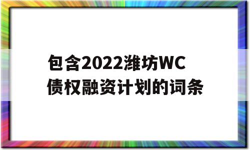 包含2022潍坊WC债权融资计划的词条