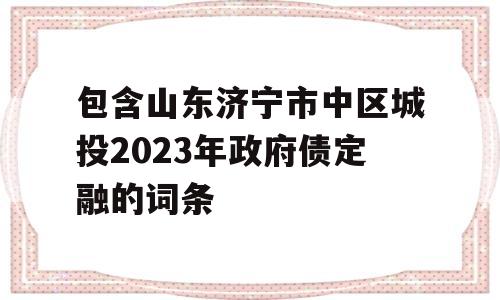 包含山东济宁市中区城投2023年政府债定融的词条