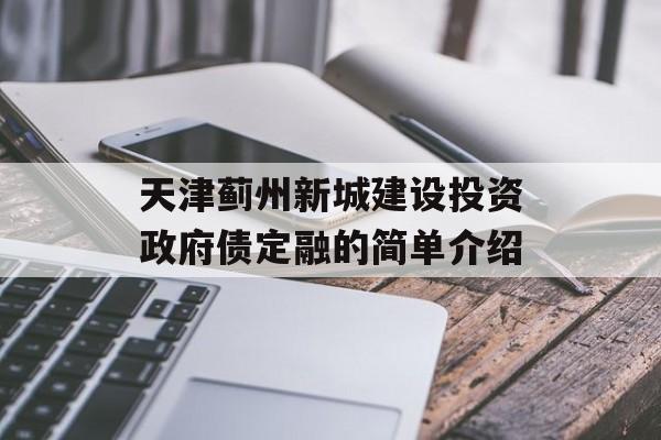 天津蓟州新城建设投资政府债定融的简单介绍