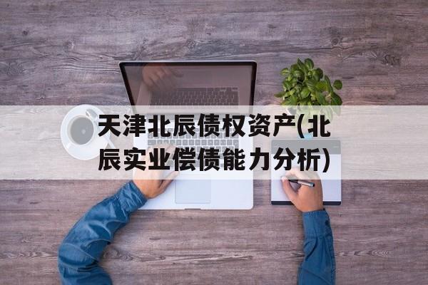 天津北辰债权资产(北辰实业偿债能力分析)